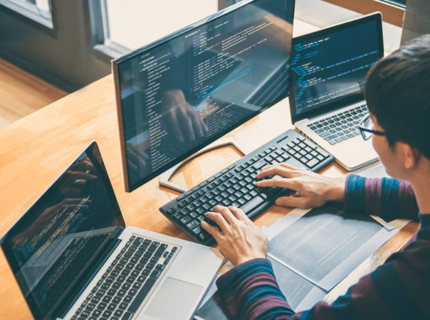 wholesale web development