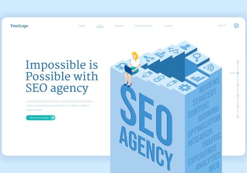 What Services to Expect from SEO in Bundaberg